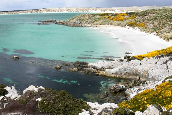Praia próxima a Port Stanley, capital de Falkland (foto de Dave)